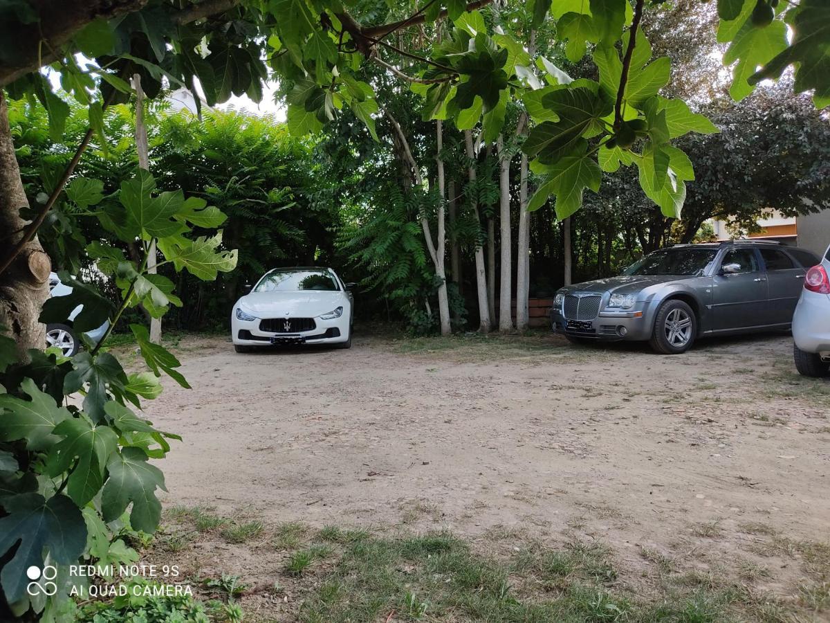 לימו Apartment Albert Parking Prive Gratuit מראה חיצוני תמונה