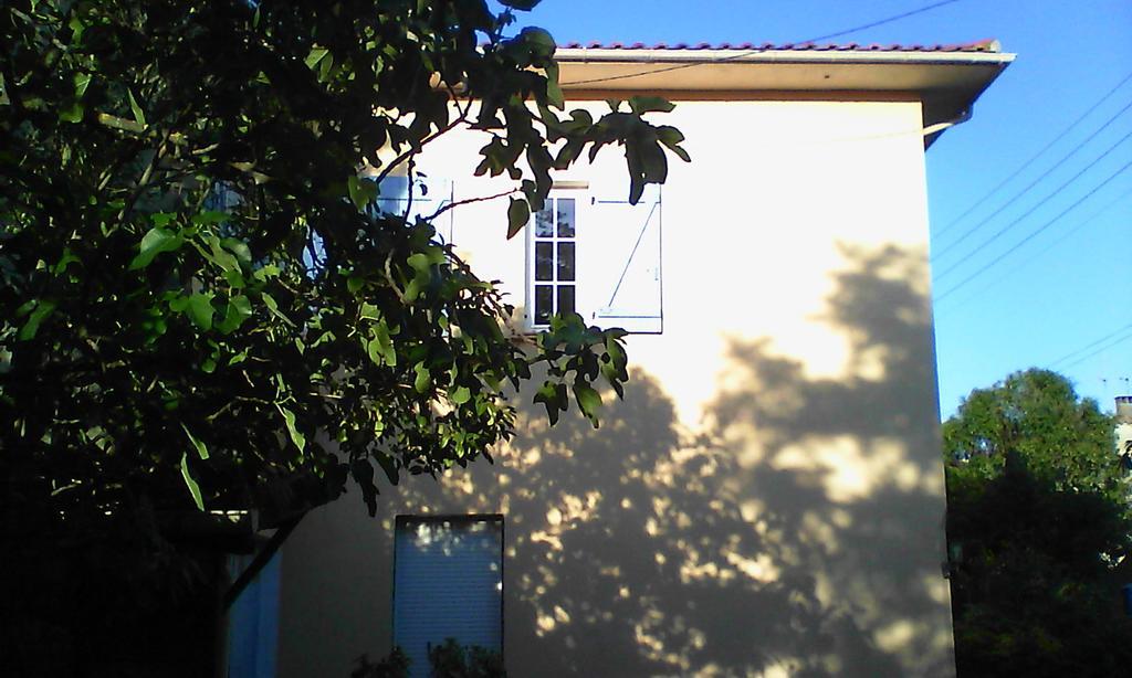 לימו Apartment Albert Parking Prive Gratuit מראה חיצוני תמונה