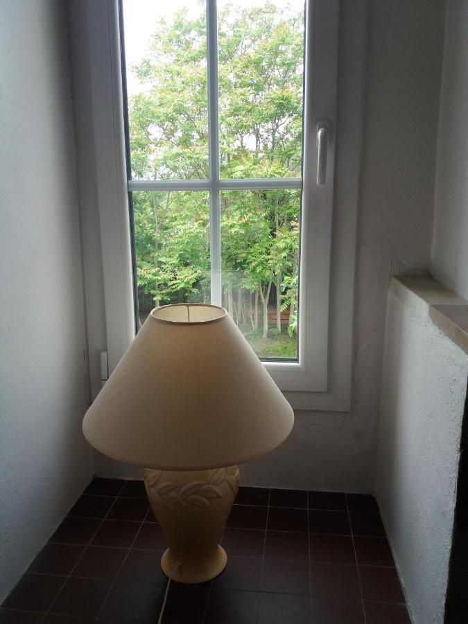 לימו Apartment Albert Parking Prive Gratuit מראה חיצוני תמונה